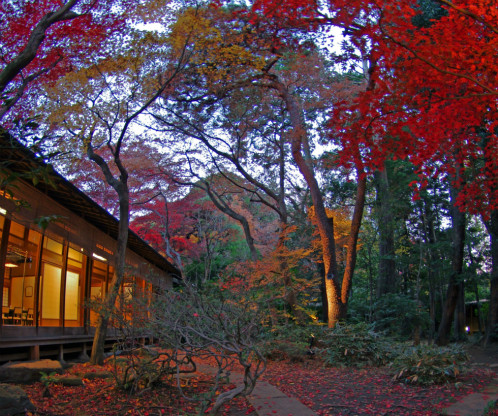 Courtyard at the height of the fall foliage season