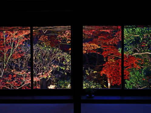 Autumn leaves viewed through an upstairs window