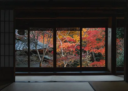 室内から見た紅葉の庭園