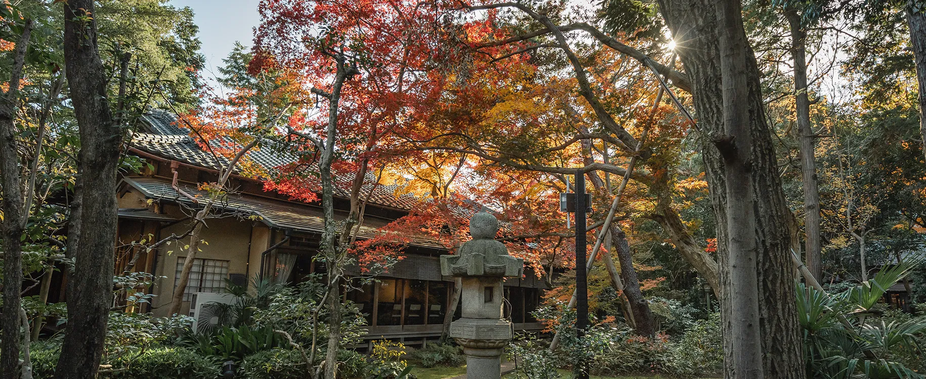 紅葉に囲まれた日本家屋と石灯籠