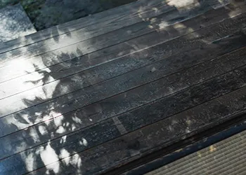 縁に映る木の影
