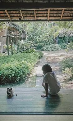 和室から見る紅葉