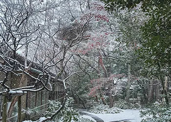 雪化粧の庭園風景