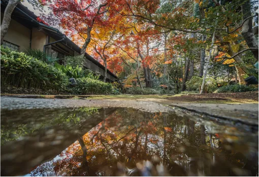 紅葉と庭園