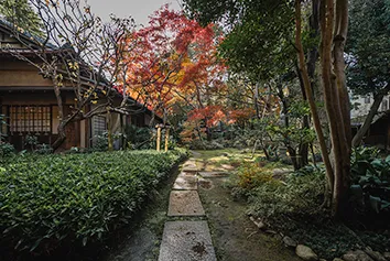 紅葉の庭と石畳